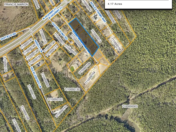2 Irving Manigault Rd, Mc Clellanville, SC 29458