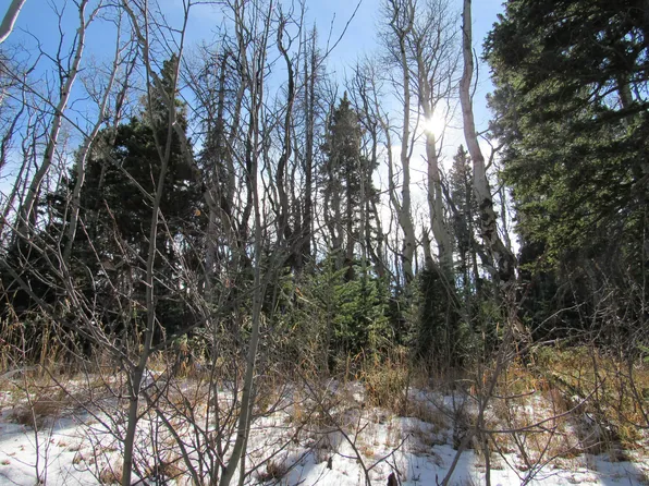 Cuchara Mountain Park Ests Lot 5, La Veta, CO 81055