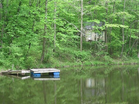 pond; cabin in background