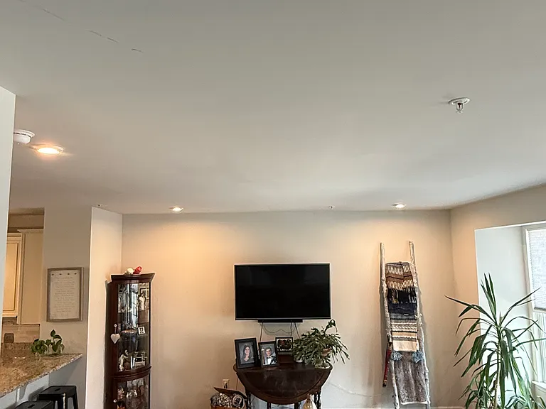 Spacious Family Room