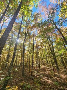 17 Higgenbottom Tpke, Altamont, TN, 37301