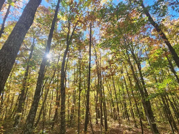 17 Higgenbottom Tpke, Altamont, TN 37301