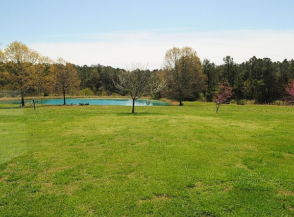 Pond/Backyard