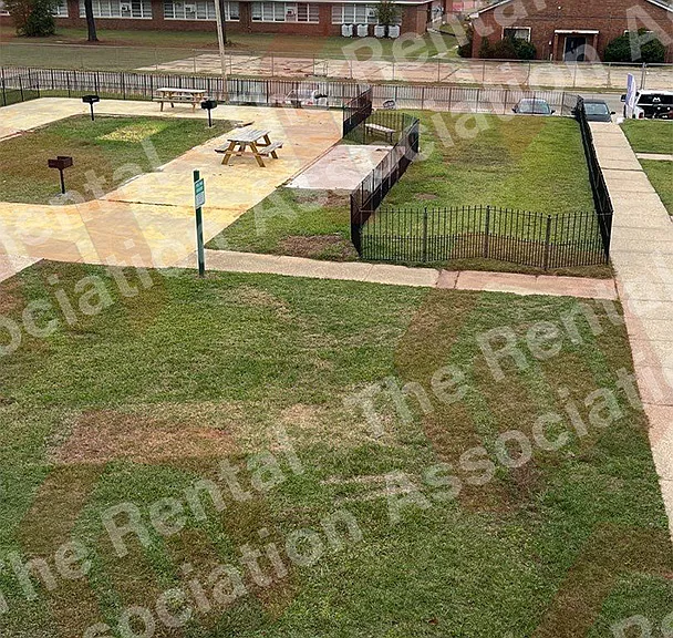 280 Central Ave #216 — Photo 4