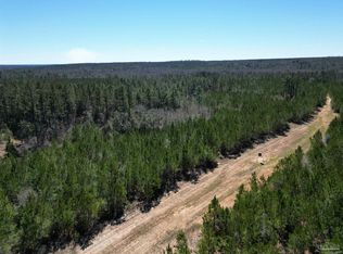 10 Robinsonville Rd, Atmore, AL 36502