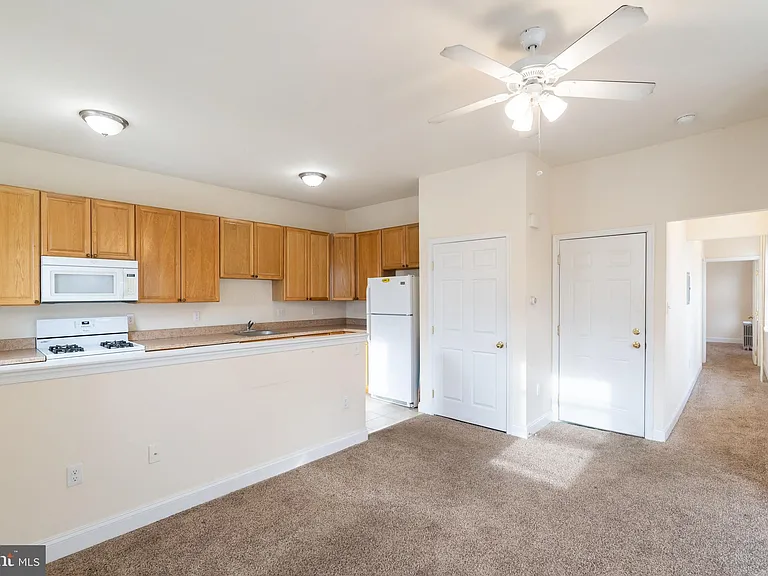 4422 Pechin St #2 — Photo 3
