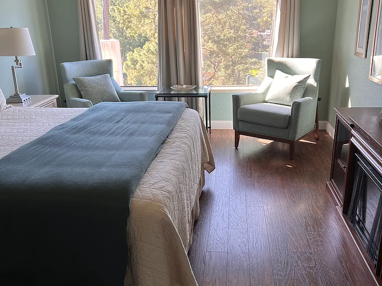 Master Bedroom suite with views of the Monterey pines with full wall large closet. Electric fireplace for cozy nights.