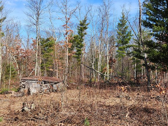 3rd image of 7746 N Woodbridge Rd