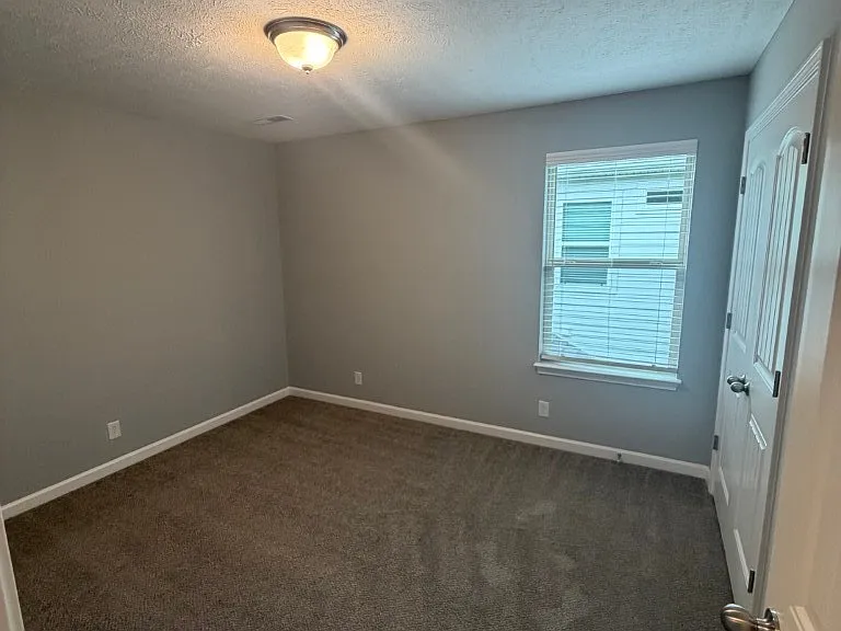 4310 Brogli Dr — Photo 19