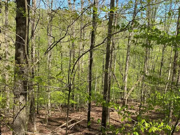L409 Summit Ln, Ellijay, GA 30540