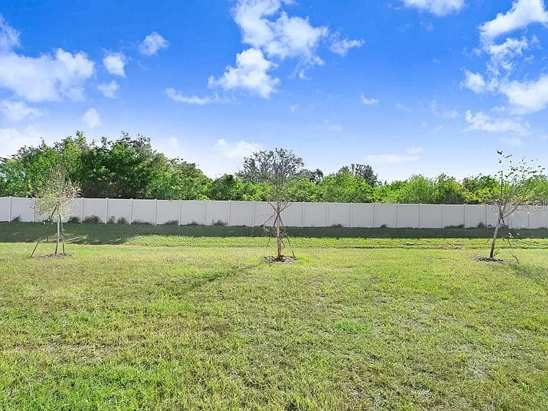 366 Mangrove Shade Cir — Photo 25