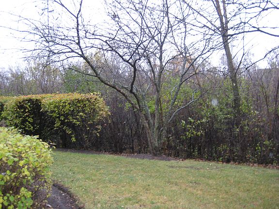 ~ View looking out back ~