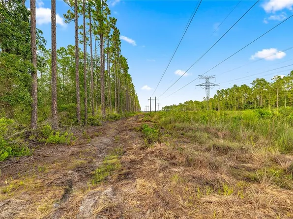 NE 125th Ave, Fort Mc Coy, FL 32134