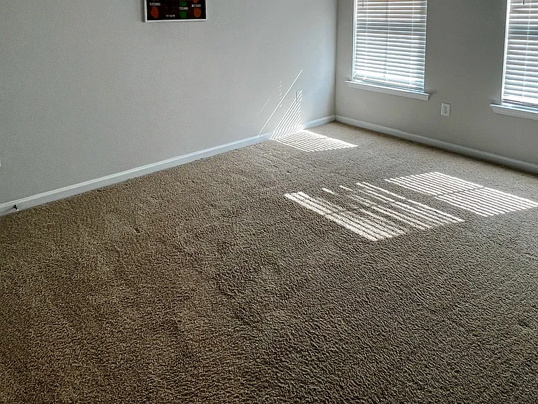 909 Robbie Jackson Ln — Photo 10