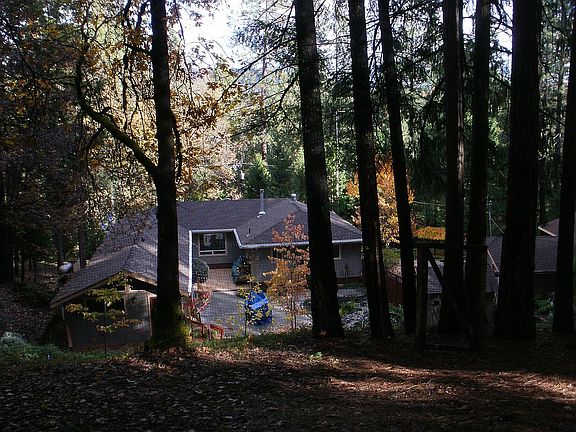 Forest view of house