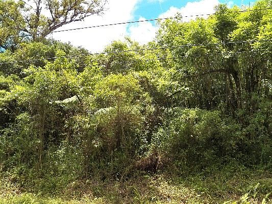 3rd image of Malama St Lot 39