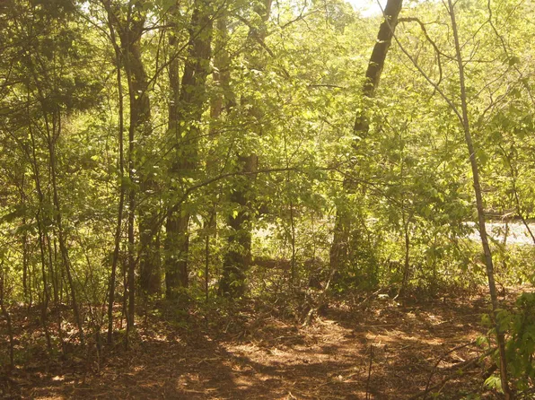 LOT 2 Booth Creek Rd, Williford, AR 72482