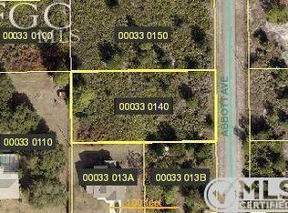 207 Abbott Ave, Lehigh Acres, FL 33936