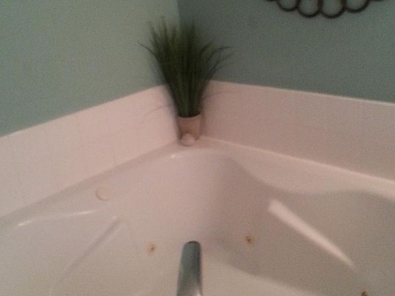 Master jacuzzi tub
