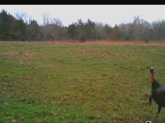 4th image of 0 S Cedar Grove Rd