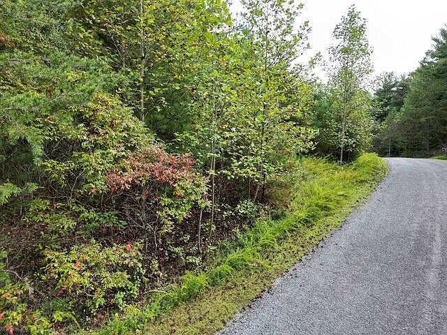 2nd image of 0 Laurel Run Dr Lot 1