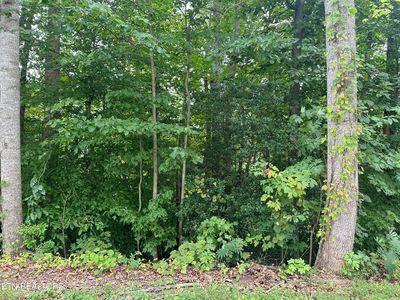 L33 Timberlake Cir, Jacksboro, TN, 37757