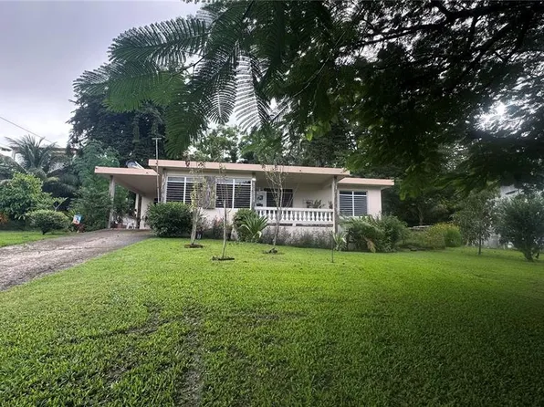 Carr 125 Sect Cipreses, Moca, PR 00676