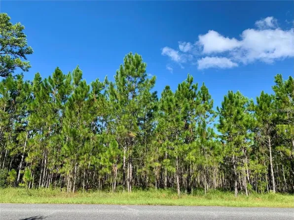 8 Jericho Trl Lot 8-9, Eustis, FL 32736