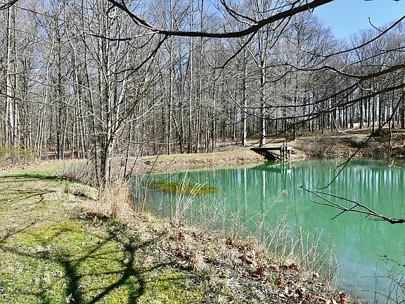 55th image of this home