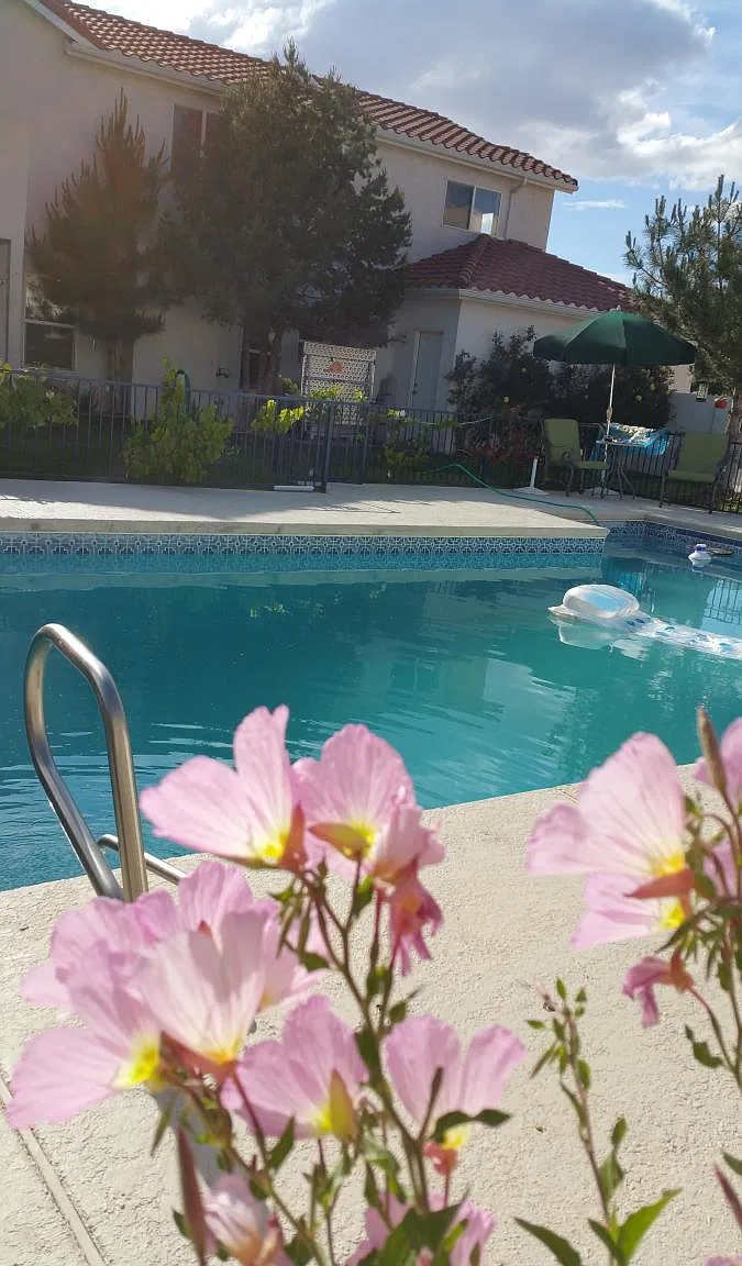 4 bed, 2800 sqft, $4,300 — Photo 3