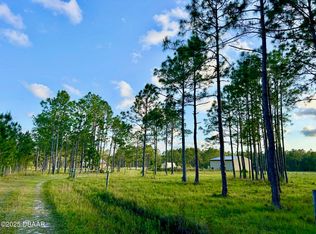 201 Wasick Ln, Ormond Beach, FL 32174