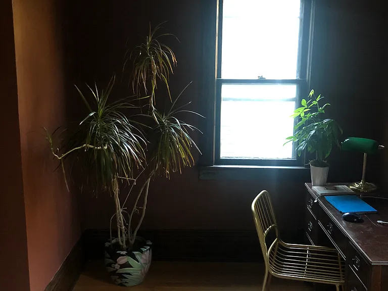 437 Potomac Ave — Photo 5