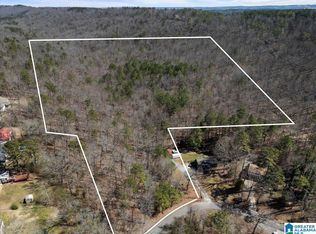 0 Oak Ridge Dr, Oneonta, AL 35121