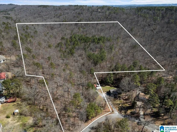 0 Oak Ridge Dr, Oneonta, AL 35121