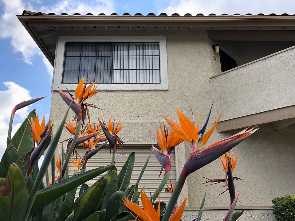 1st image of 3459 Paseo De Alicia Unit 24