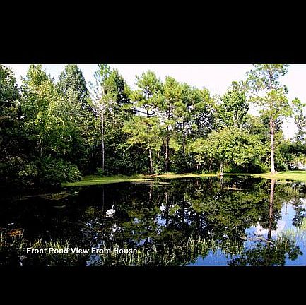 5th image of 1364 Palomino Way