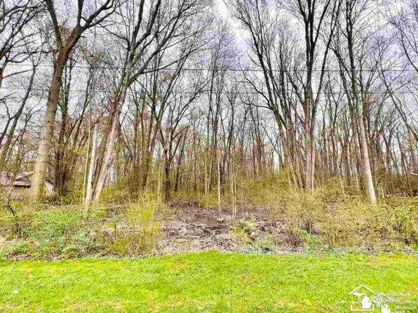 0 Emerson Dr, Ottawa Lake, MI 49267