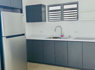 Bo Santo Domingo 148 Caguas #1B, Caguas, PR 00725
