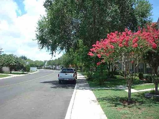 2nd image of 1953 BUDDING BLVD #1953