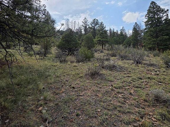 4th image of 1139 Rio Grande Club Trail