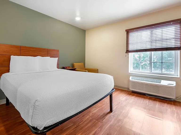 Studio Suite - 1 Queen Bed