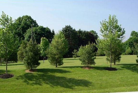 Beautiful Landscape View