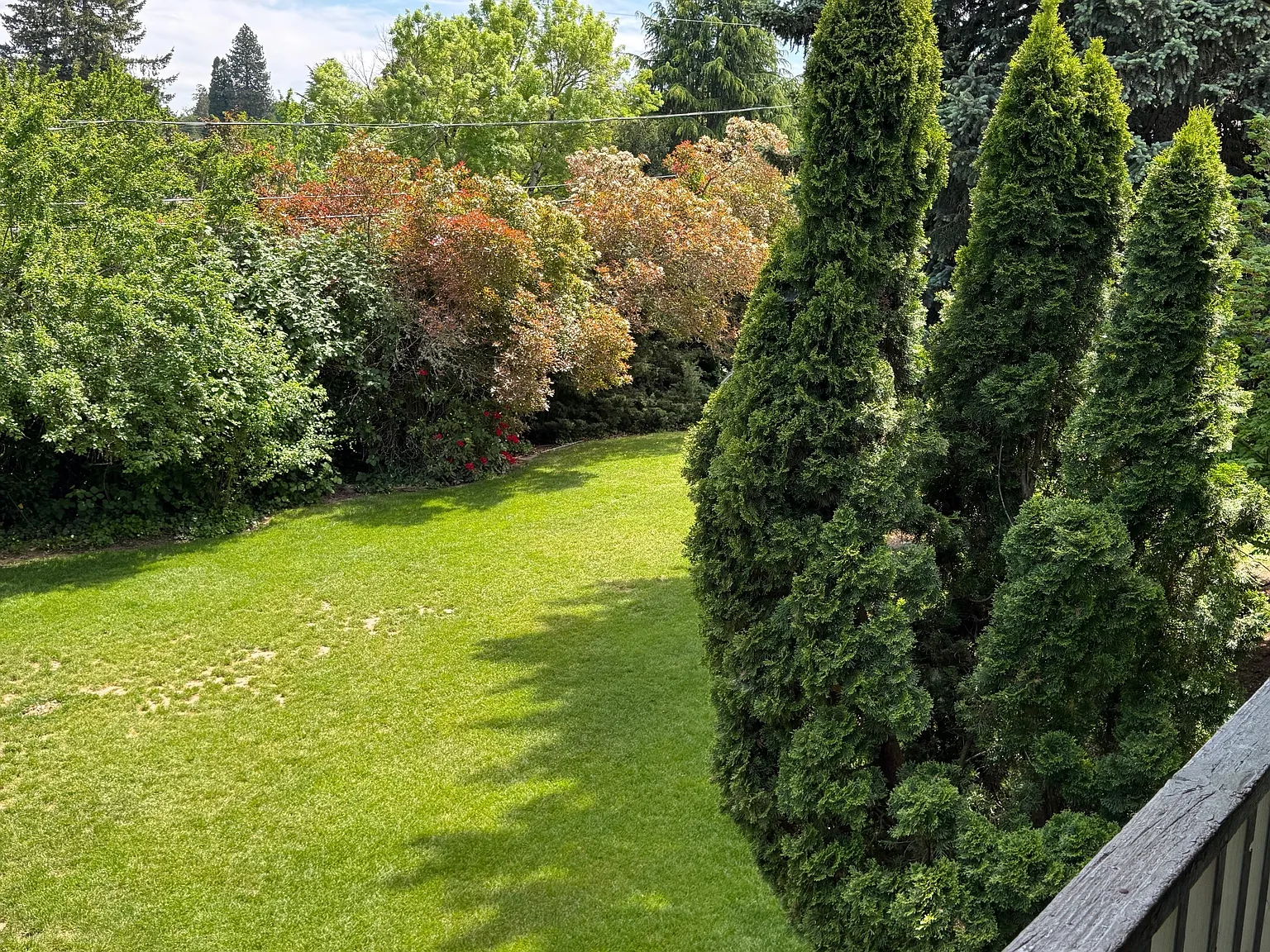 The Firs — Photo 4