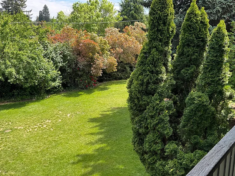 The Firs — Photo 4