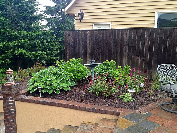 Courtyard shade garden