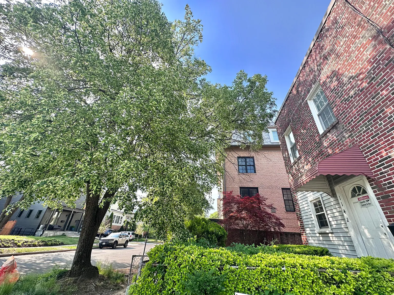 1 bed, $925 — Photo 2
