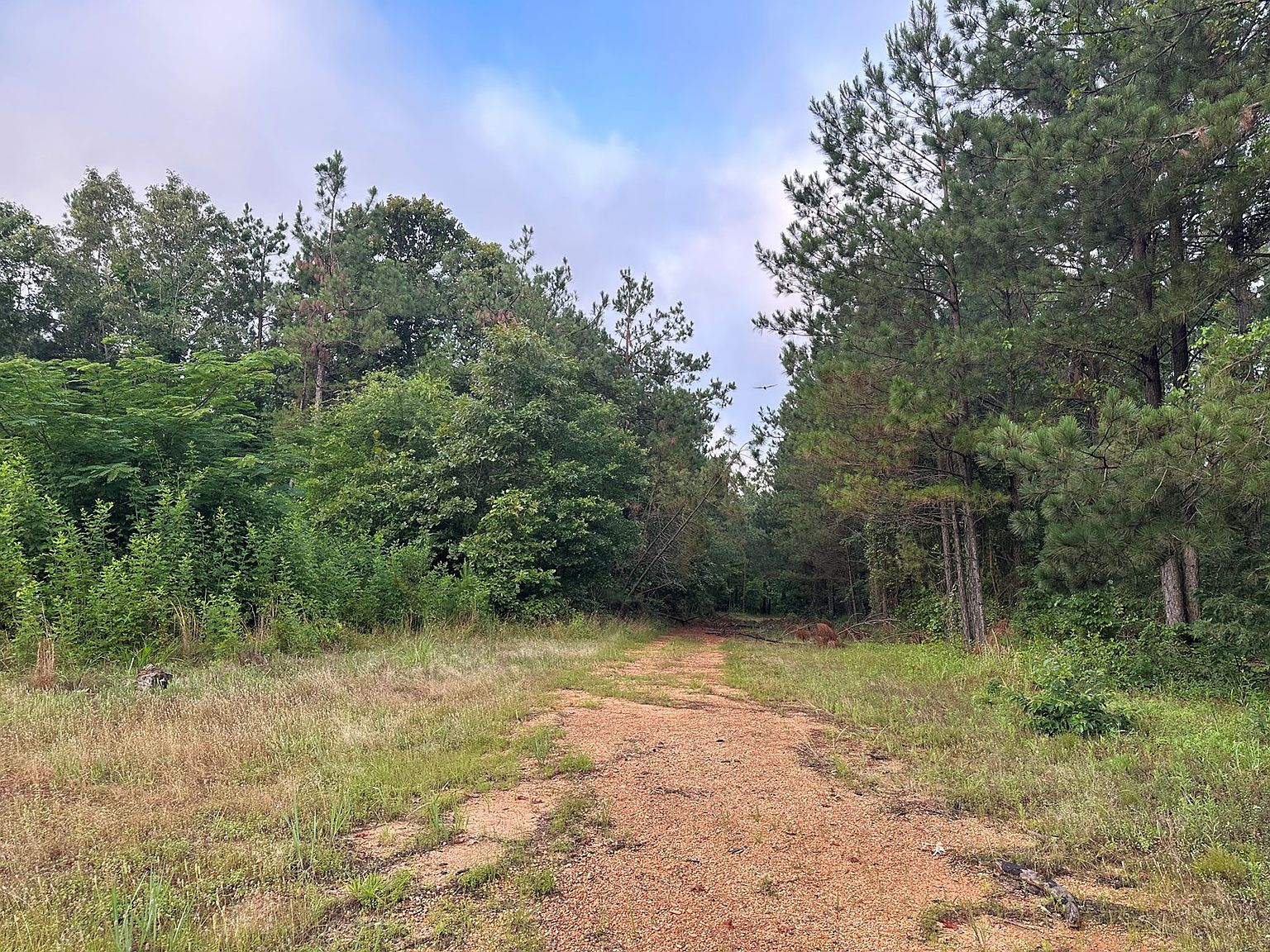 County Road 29, Magnolia, AR 71753 | Zillow