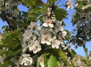 760 Upper Joe Creek Rd, Manson, WA 98831