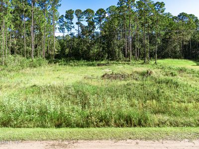 4620 BURDOCK Court, Middleburg, FL, 32068