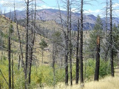 Deer Creek Dr, Lake George, CO, 80827